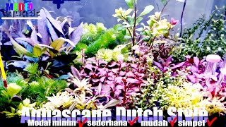Nano Tank Duchstyle pemula Tutorial