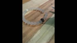 Lokai Bracelet - Mud from the Dead Sea, Water from Mount Everest