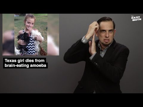 The Daily Moth 9-16-19