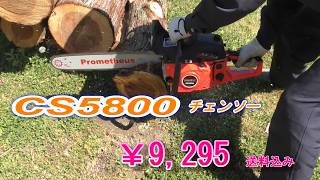 CS5800 木の伐採　DIY初心者　機械が調子悪いと疲れます。
