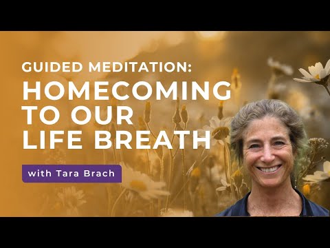 Guided Meditation: Homecoming to Our Life Breath, with Tara Brach