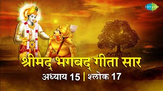 भगवद गीता सार अध्याय 15 श्लोक 17with lyrics | Bhagvad Geeta Chapter 15 sholk 17 | Shailendra Bharti