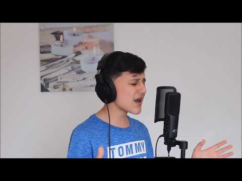 Pink - What About Us ( Cover by Abu Rahman )