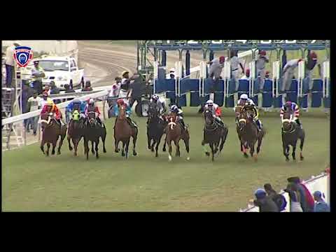 RM17 R3 | Sacred Flame | P.Strydom