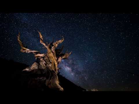 Enjoy a new epic time-lapse collection of starry nights