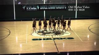 Medium Contemporary Gold- Mt. Carmel