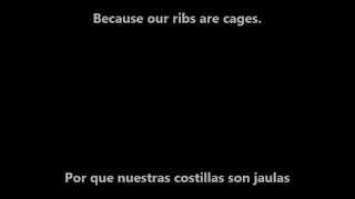 The color morale - Prey for me (Lyrics video inglés - español)
