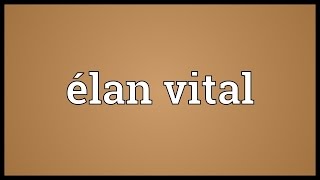 Download lagu Élan vital Meaning mp3 Download lagu Élan vital Meaning mp3
