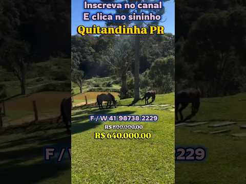 Belíssima chácara em Quitabdinha PR #brasil #fazenda #agro #pecuarista #agroemfocotvdigital