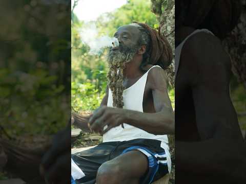 Would you try if he passed it? #music #rastafarai #jamaica #caribbeanisland #rasta
