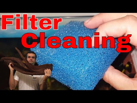 Thumbnail for Juwel Bioflow M: Filter and powerhead cleaning for beginners by Juwel