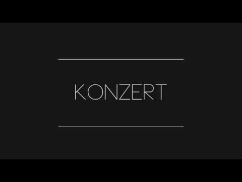 Happy XMAS (Tutti)🎤 | Weihnachtskonzert 2017