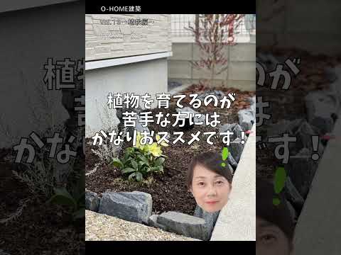 匍匐性のロックガーデンの植物: カラフルなロックガーデン用の見事な花を咲かせる常緑の多年草10本  庭園