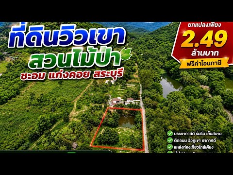 ที่สวนผลไม้ วิวภูเขาสวย บรรยากาศดี ใกล้แหล่งท่องเที่ยว ต.ชะอม อ.แก่งคอย จ.สระบุรี, สระบุรี, ชะอม, แก่งคอย, สระบุรี, 2,000 ตร.ม., ที่ดิน ขาย, โดย ภัษกาญ บัวป้อม, 500356234 - DDproperty.com