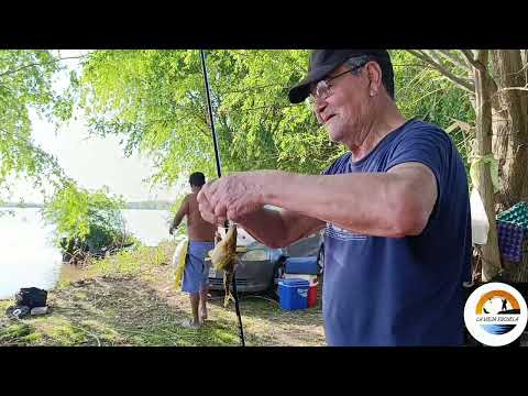 Pesca en un nuevo lugar #pescalaviejaescuela #pesca #elmolino #pescador #ibicuy #entrerios 