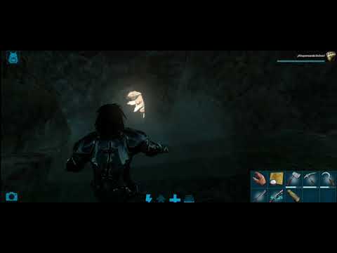 Tamear Araneo | #6cap | Ark mobile