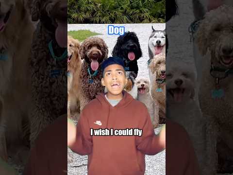 The animal that can do All 3…😈😂 #comedy