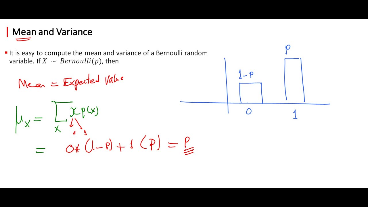 Bernoulli Distribution | Mean & Variance Calculations بالعربي