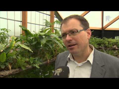 Rijnmond Nieuws + Weer - 3 juli 2013