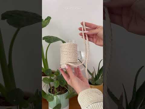 How To: Water plants | Vacation Edition 🪴 #hacks