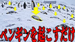 孤独な南極で倒れたペンギンを起こすだけの仕事をさせられる謎過ぎるホラゲーの謎がすごすぎた - Penguin Lifter