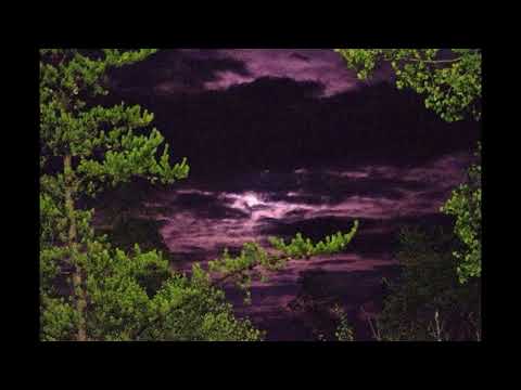 [FREE] $uicideBoy$ x Xavier Wulf x Bones Type Beat - "Alone"