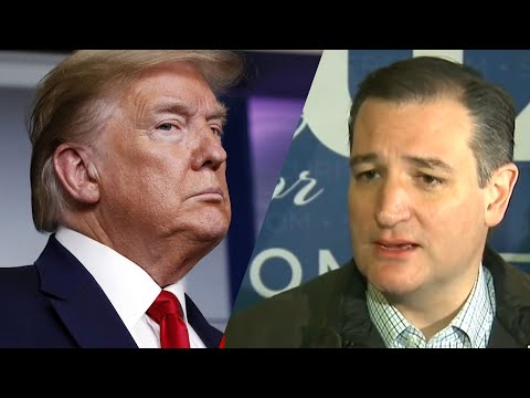 Don't Listen to Us, Listen to Ted Cruz #TedCruzWasRight