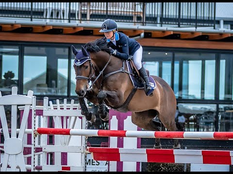 Synovate HA Joint Supplement for Horses