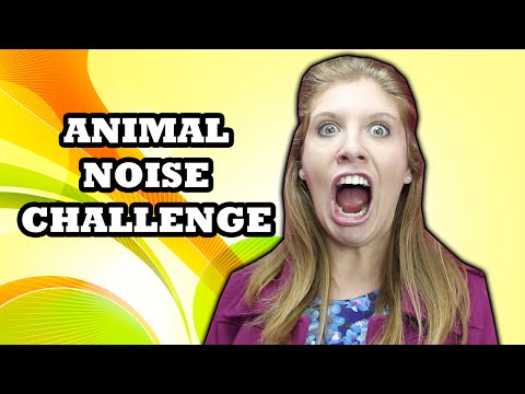 Animal Noise Challenge