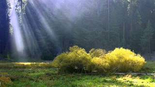 Half The Way Home - Tammy Wynette