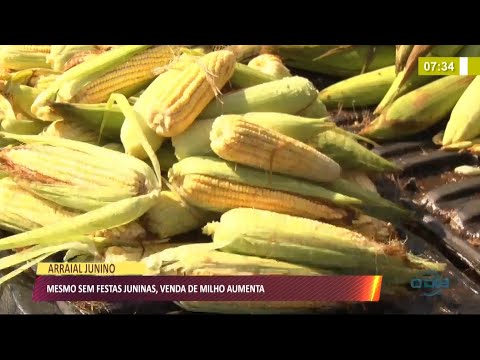 Mês junino eleva vendas do milho mesmo durante pandemia 17 06 2021