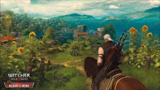 The Witcher 3 OST - On the Champs-Désolés (1 Hour Version)