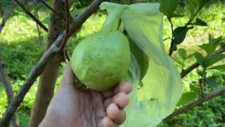 My life lately, rain or shine.