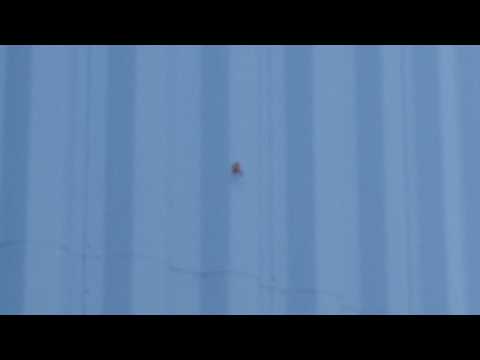 10,000 Subscriber Special!!