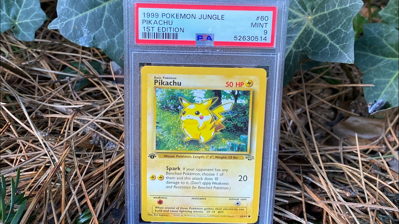 Jungle Pikachu: Why Is It So Popular?
