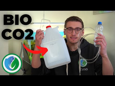 Bio CO2 Anlage selber bauen - Anleitung