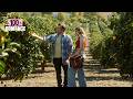 L AMOUR SOUS LE CITRONNIER Film Complet En Français HD ROMANCE