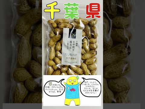 薬学科 千葉県