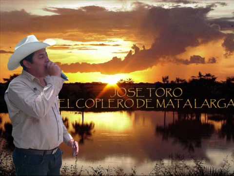 Jose Toro - Sin ti no valgo nada y el llanero adivino