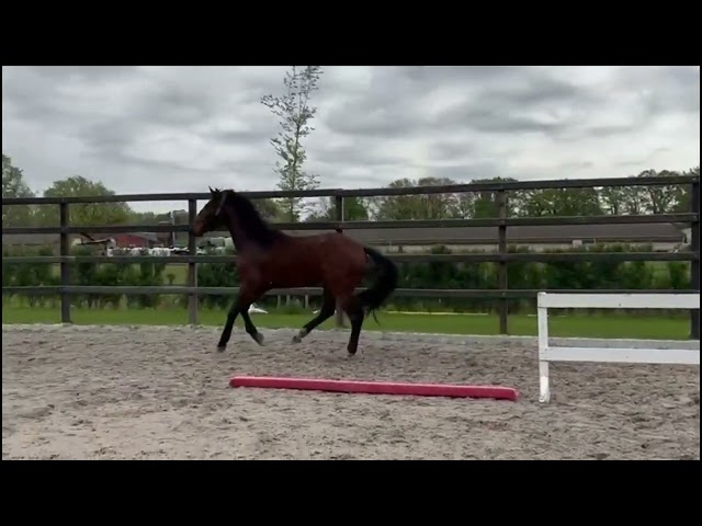 Jumping at home