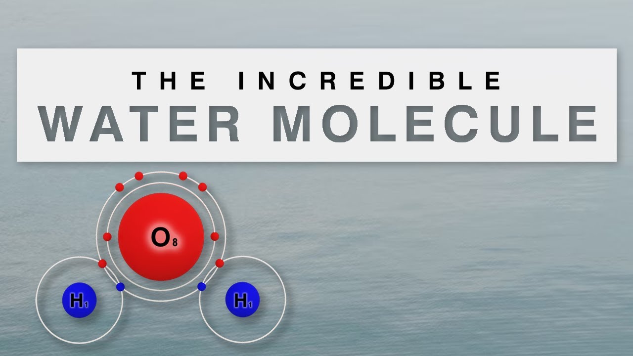 The Incredible Water Molecule [H2O Structure and Properties]