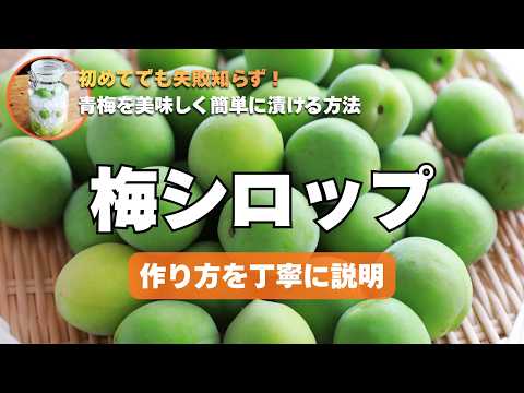 初めてでも絶対失敗しない【梅シロップ】の漬け方｜3つの材料で青梅を美味しくシロップにする方法！丁寧な梅仕事