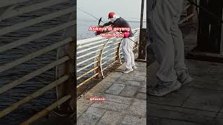 Download lagu it's fun to shake mimi boni #shake #mimi #bonito #cool #strike #fishing #mancingmania mp3 Download lagu it's fun to shake mimi boni #shake #mimi #bonito #cool #strike #fishing #mancingmania mp3