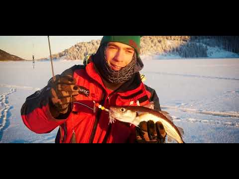 Meereseisangeln in Norwegen | Fischen im zugefrorenen Fjord mit AQUANTIC