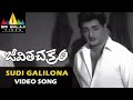 Jeevitha Chakram Songs Sudi Galilona Video Song NTR Vanisri Sri Balaji Video