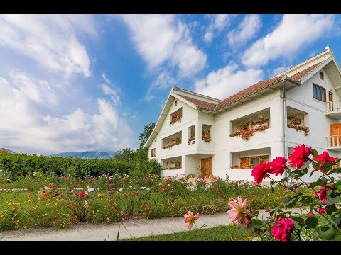 Pensiunea Ela Novaci - Cazare Transalpina