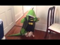DJ The Dinosaur