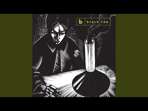 Gates of the Country - Black Lab