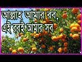 আল্লাহ আমার রব এই রবই আমার সব Allah Amar Rob E Rob E A