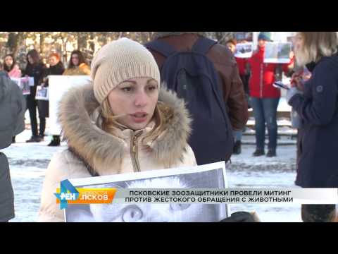 Новости Псков 07.11.2016 # Митинг против жестокого обращения с животными
